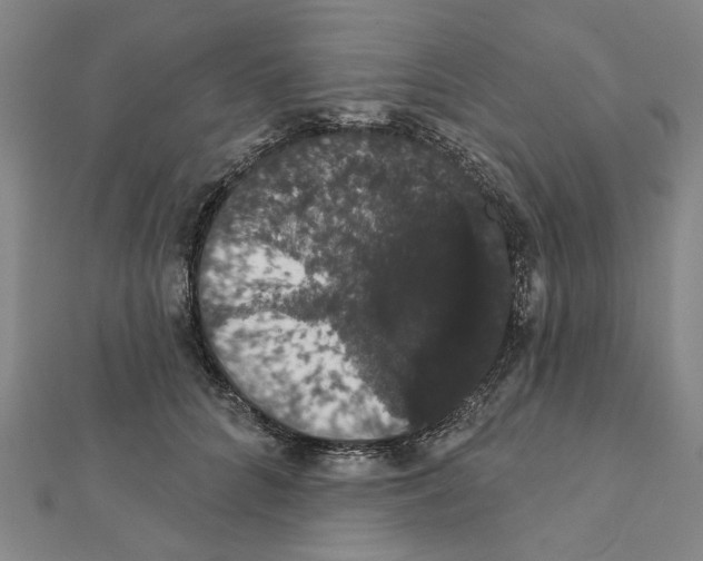 X0000111440704200908241144
