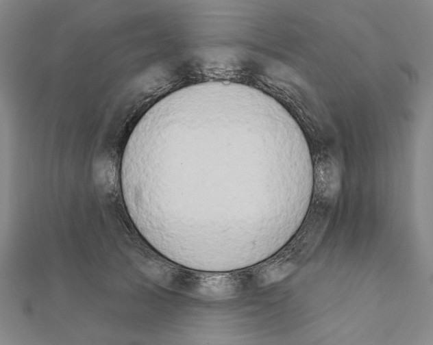 X0000111440705200908241144