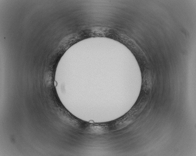 X0000111440706200908241144