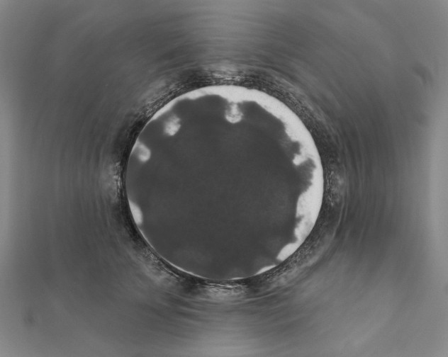X0000111440707200908241144