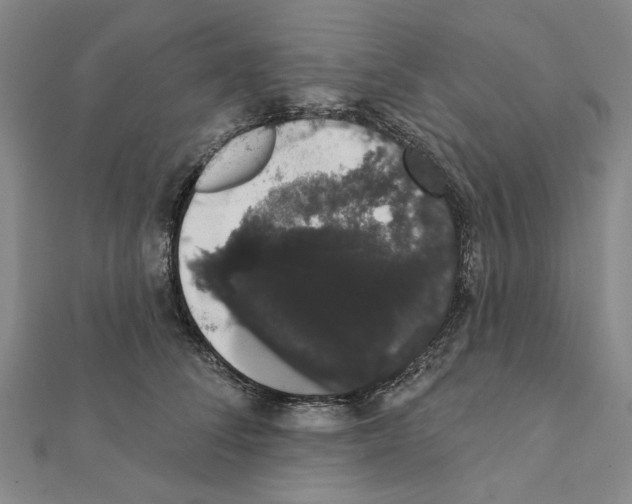 X0000111440708200908241144