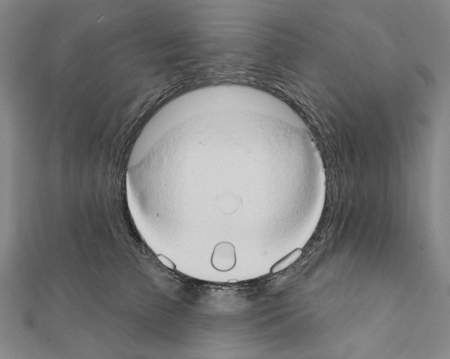 X0000111440709200908241144