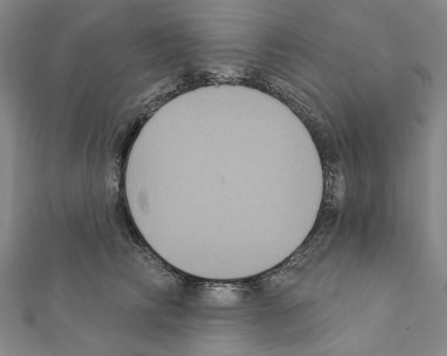 X0000111440710200908241144