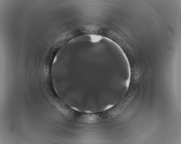 X0000111440711200908241144