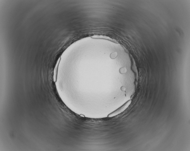 X0000111440712200908241144
