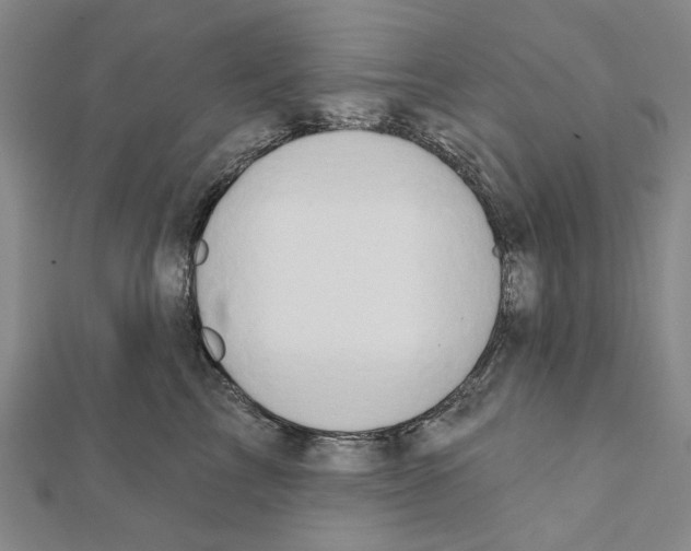 X0000111440713200908241144