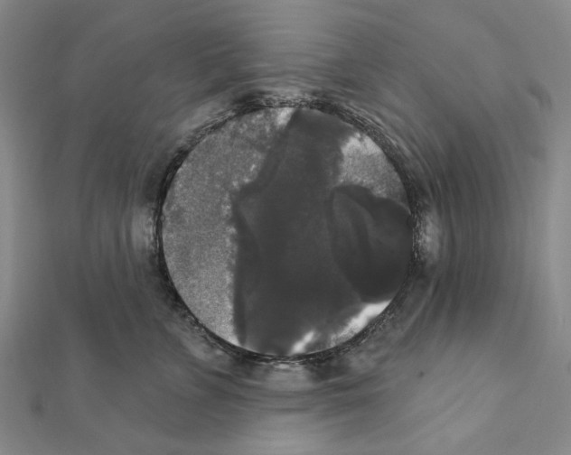 X0000111440715200908241144