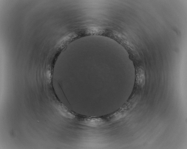 X0000111440716200908241144