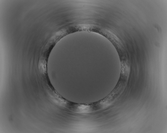 X0000111440718200908241144