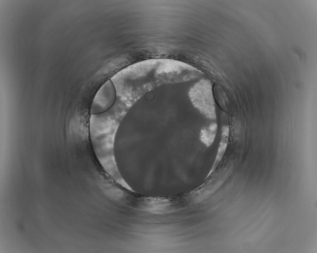 X0000111440719200908241144