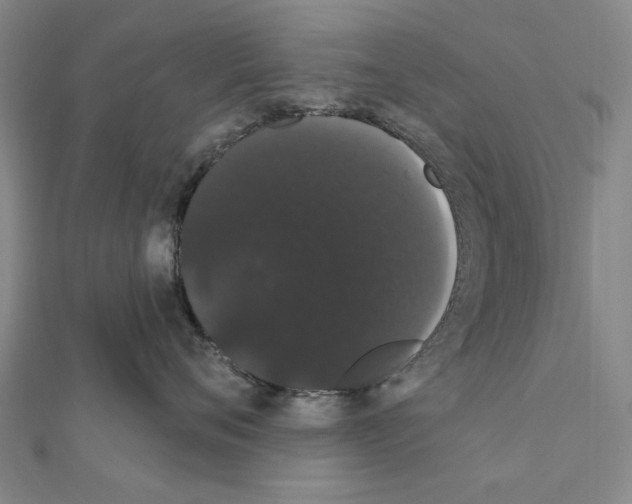 X0000111440720200908241144