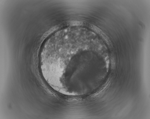 X0000111440721200908241143