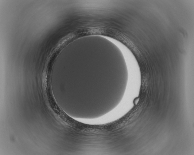 X0000111440722200908241143