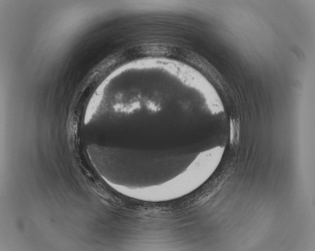 X0000111440723200908241143