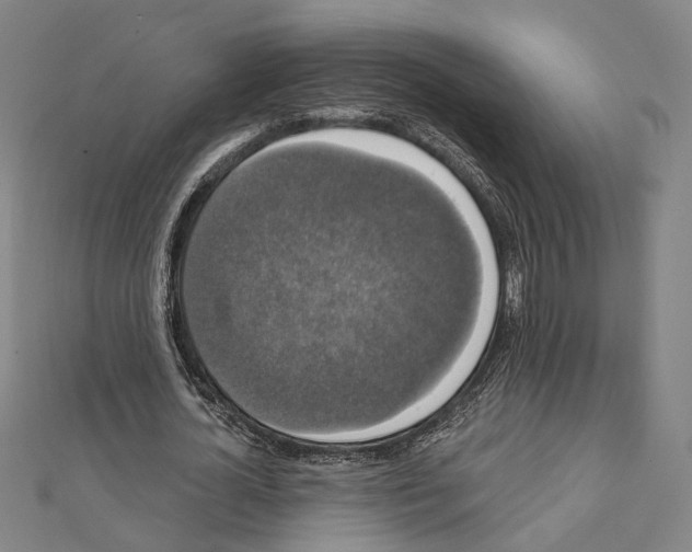 X0000111440724200908241143