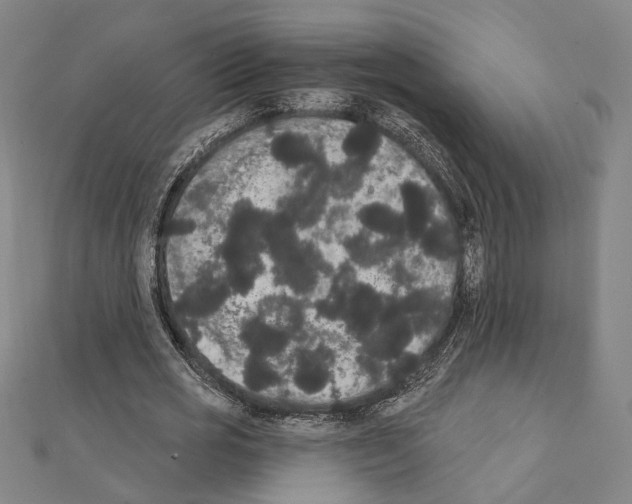 X0000111440725200908241143