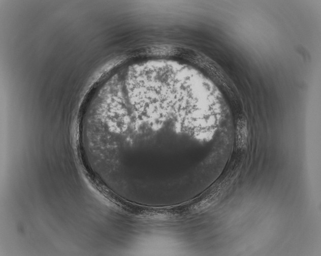 X0000111440726200908241143