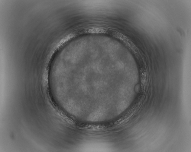 X0000111440727200908241143