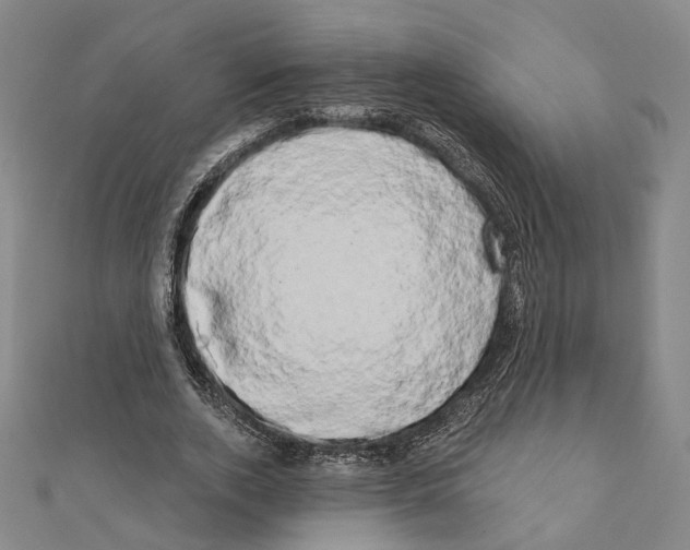 X0000111440728200908241143