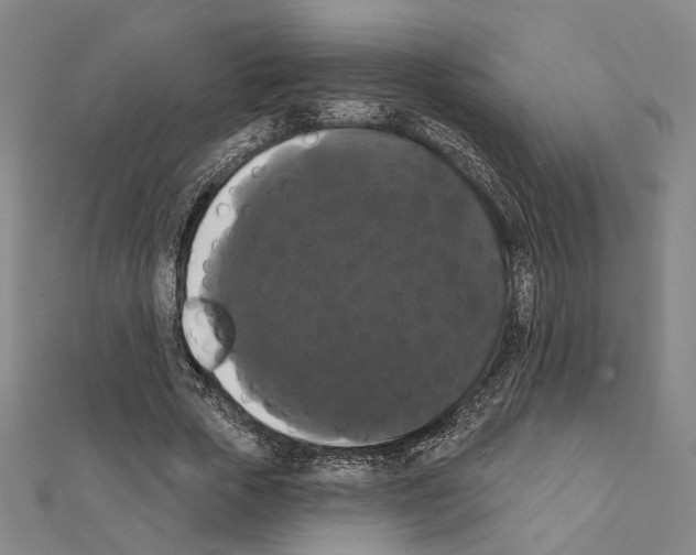 X0000111440729200908241143