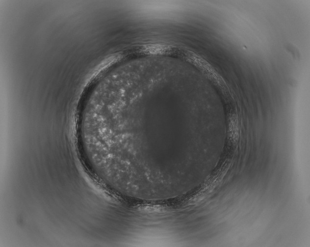 X0000111440730200908241143