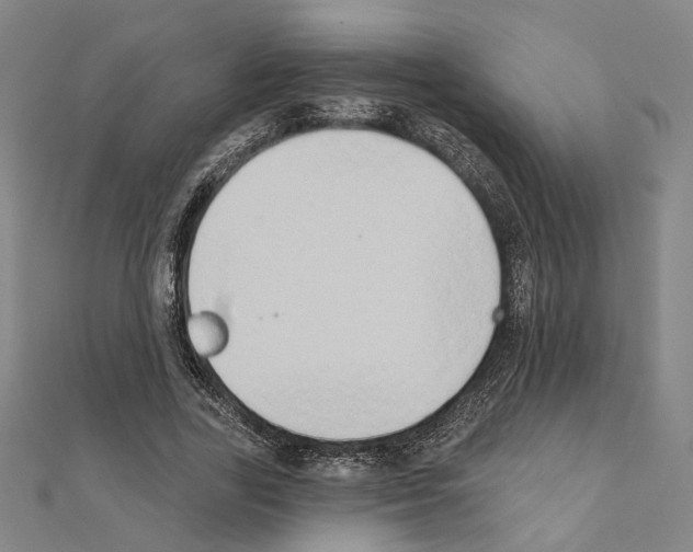X0000111440731200908241143