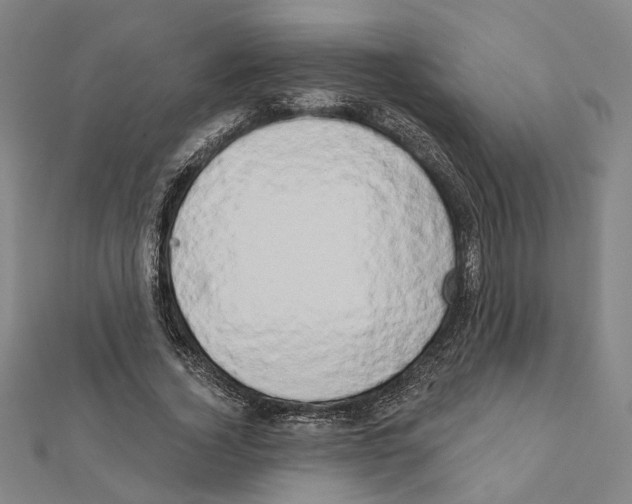 X0000111440732200908241143