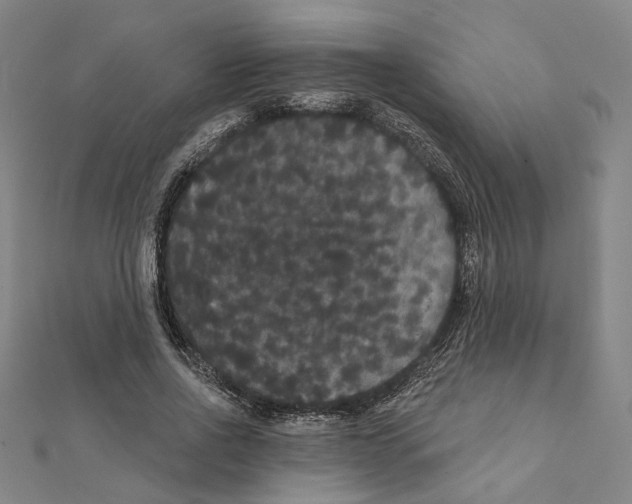 X0000111440734200908241143