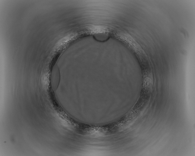 X0000111440736200908241143