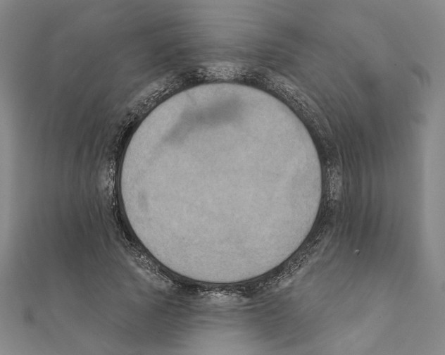 X0000111440737200908241143