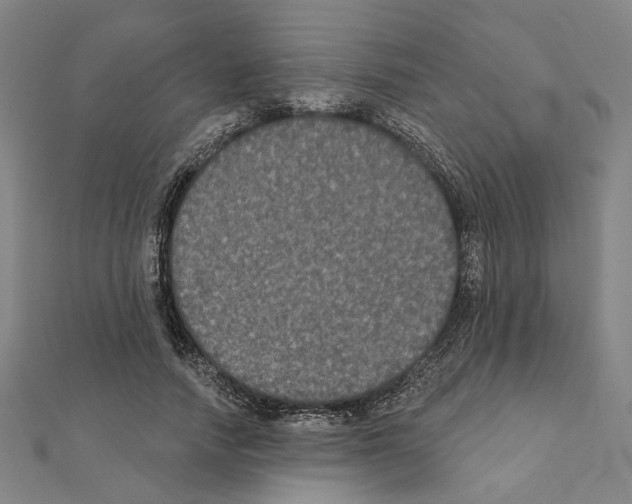 X0000111440738200908241143