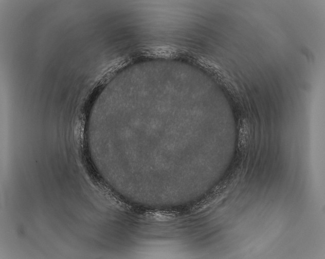 X0000111440739200908241143