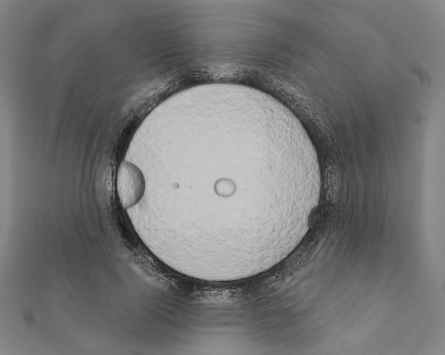 X0000111440740200908241143