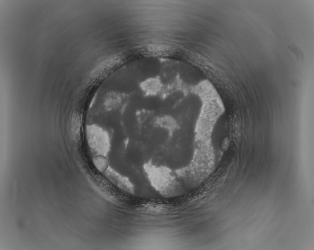 X0000111440742200908241143