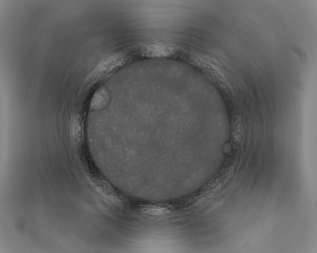 X0000111440743200908241143