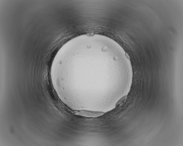 X0000111440744200908241143