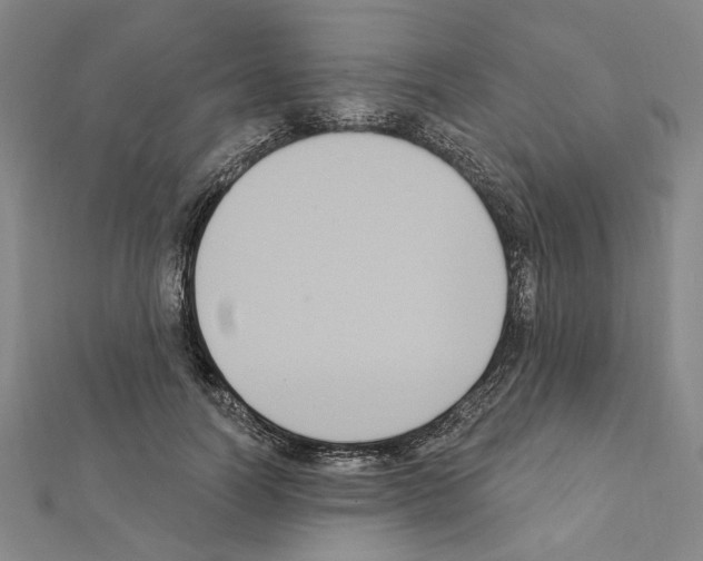 X0000111440746200908241144