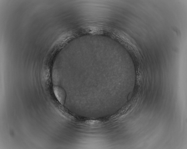 X0000111440748200908241144