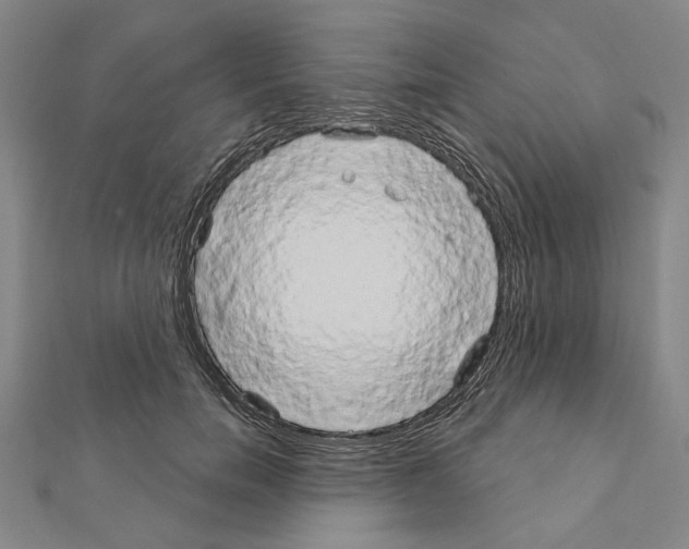 X0000111440750200908241144