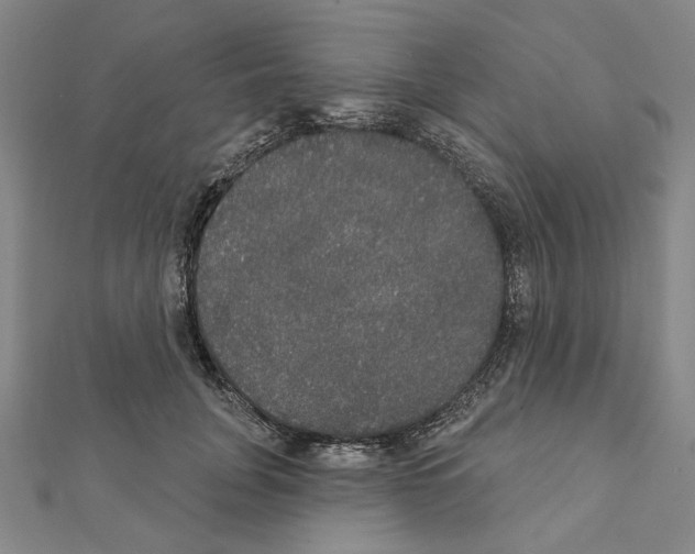 X0000111440751200908241144