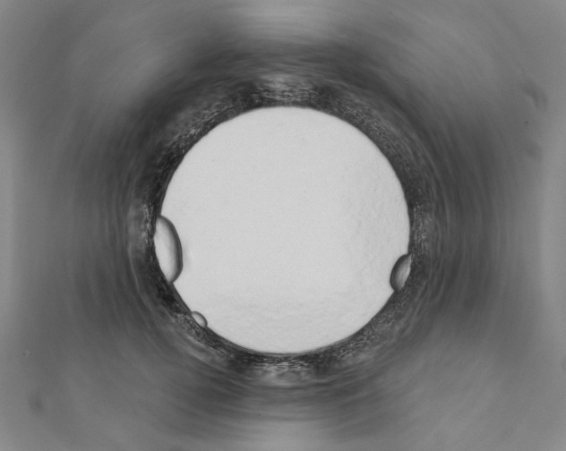 X0000111440752200908241144