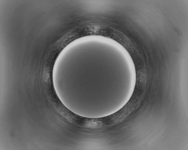 X0000111440754200908241144