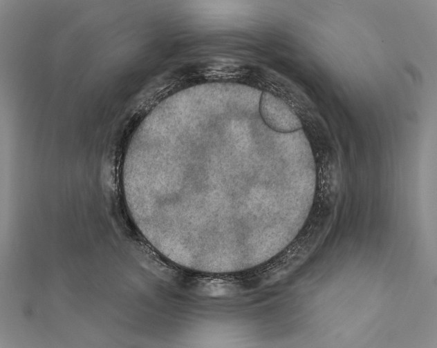X0000111440755200908241144