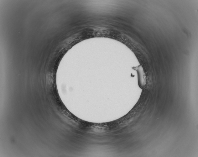 X0000111440756200908241144