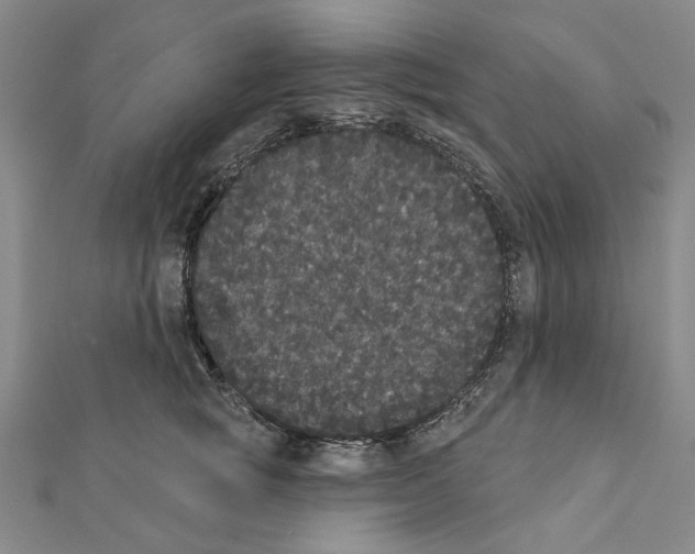 X0000111440757200908241144