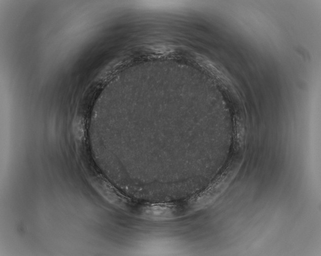 X0000111440758200908241144