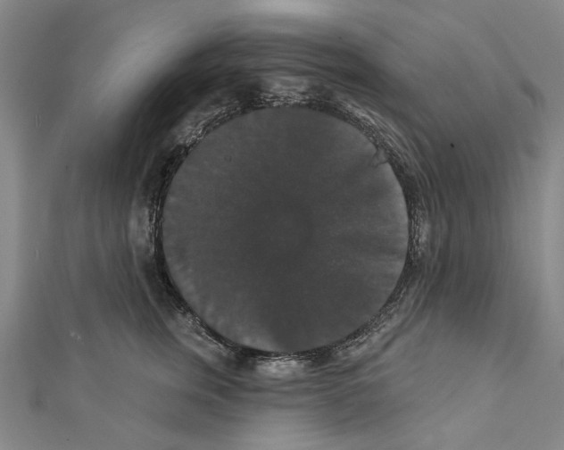 X0000111440759200908241144