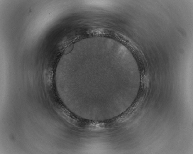 X0000111440760200908241144
