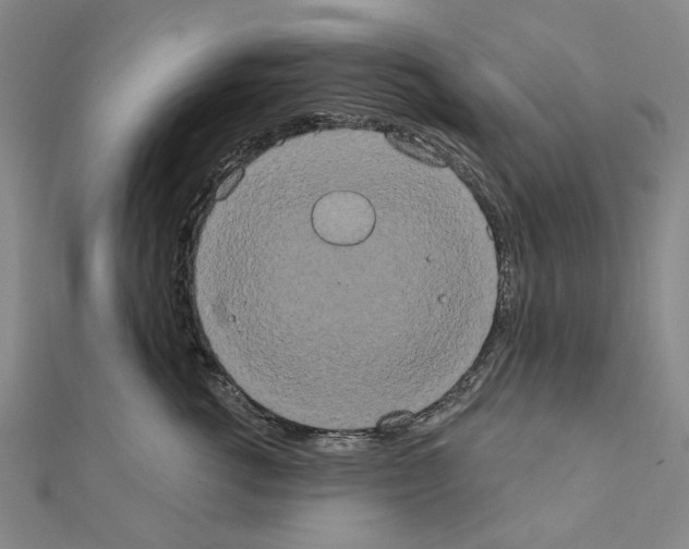 X0000111440762200908241144