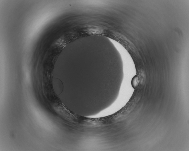 X0000111440763200908241144